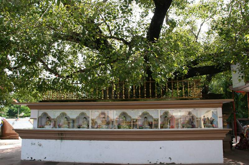 India & Nepal 2011 - 0705